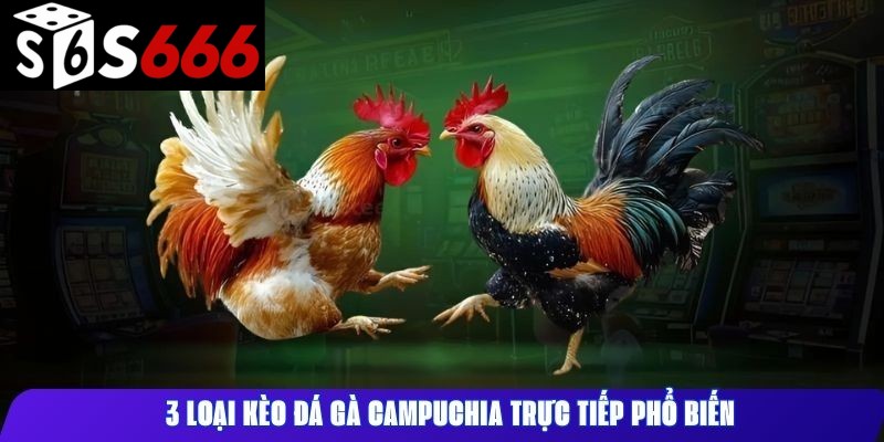 3 loại kèo đá gà Campuchia trực tiếp phổ biến