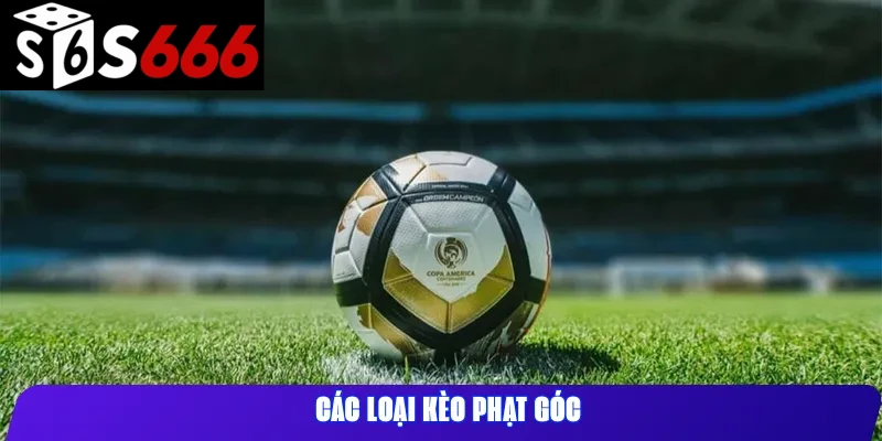 Các Loại Kèo Phạt Góc