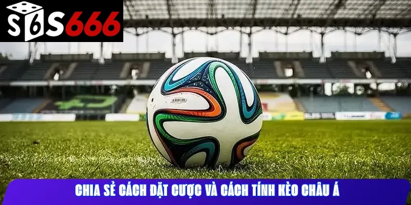 Chia sẻ cách đặt cược và cách tính kèo châu Á 
