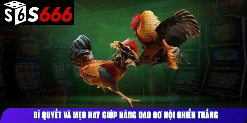 Bí quyết và mẹo hay giúp nâng cao cơ hội chiến thắng