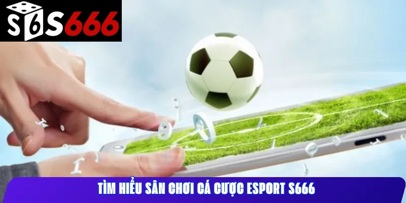 Tìm hiểu sân chơi cá cược esport S666