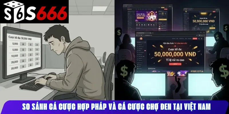 Sự khác biệt giữa cá cược hợp pháp và cá cược chợ đen tại Việt Nam