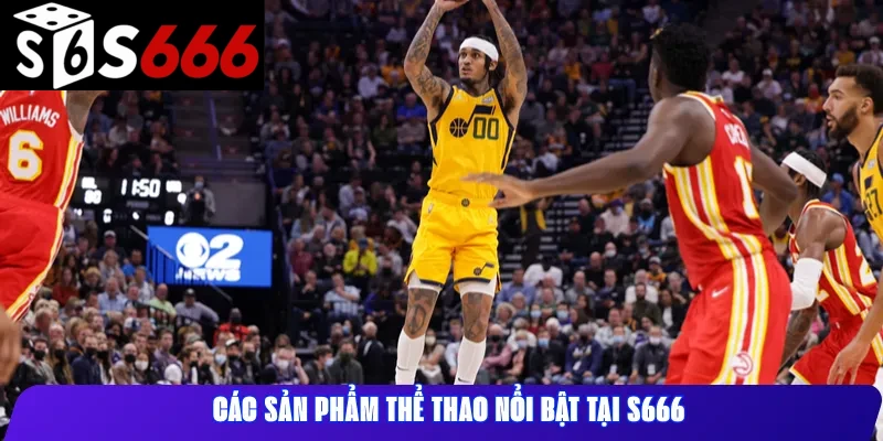 Các sản phẩm thể thao nổi bật tại S666