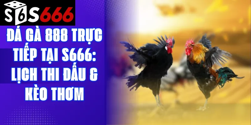 Đá gà 888 trực tiếp tại S666